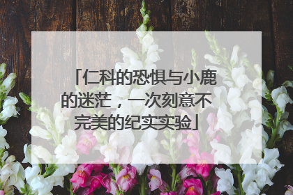 仁科的恐惧与小鹿的迷茫，一次刻意不完美的纪实实验