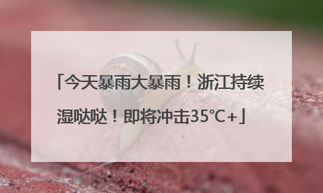 今天暴雨大暴雨！浙江持续湿哒哒！即将冲击35℃+