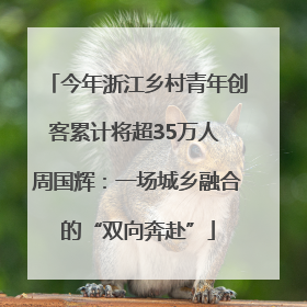 今年浙江乡村青年创客累计将超35万人 周国辉：一场城乡融合的“双向奔赴”