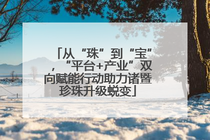 从“珠”到“宝”，“平台+产业”双向赋能行动助力诸暨珍珠升级蜕变
