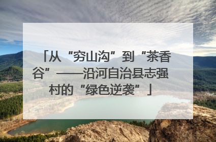 从“穷山沟”到“茶香谷”——沿河自治县志强村的“绿色逆袭”