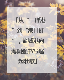 从“一群港”到“港口群”，盐城港向海图强书写崛起壮歌