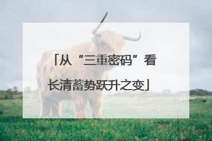 从“三重密码”看长清蓄势跃升之变