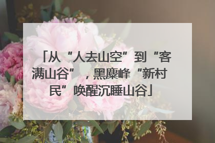从“人去山空”到“客满山谷”，黑麋峰“新村民”唤醒沉睡山谷