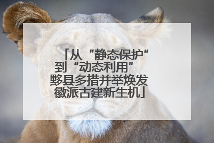 从“静态保护”到“动态利用” 黟县多措并举焕发徽派古建新生机