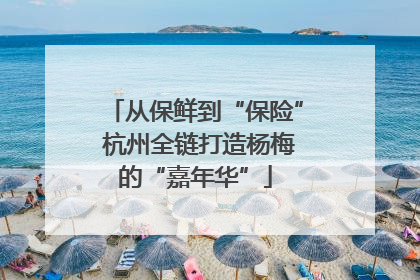 从保鲜到“保险” 杭州全链打造杨梅的“嘉年华”