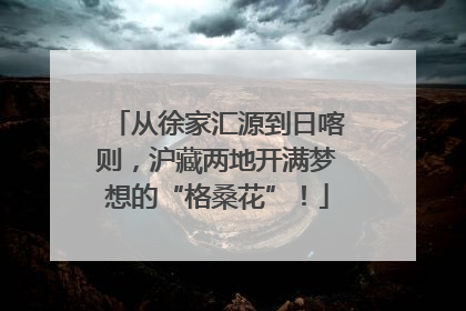 从徐家汇源到日喀则，沪藏两地开满梦想的“格桑花”！
