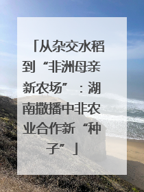 从杂交水稻到“非洲母亲新农场”：湖南撒播中非农业合作新“种子”