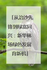 从治沙先锋到绿富同兴：新华林场绿色发展育新机