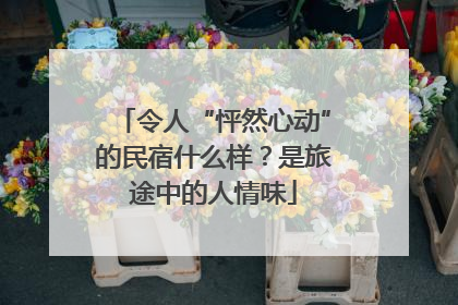 令人“怦然心动”的民宿什么样？是旅途中的人情味