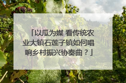 以瓜为媒 看传统农业大镇石莲子镇如何唱响乡村振兴协奏曲？