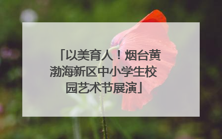 以美育人！烟台黄渤海新区中小学生校园艺术节展演