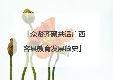 众贤齐聚共话广西容县教育发展简史