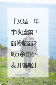 又是一年丰收盛景！淄博临淄29万余亩小麦开镰啦