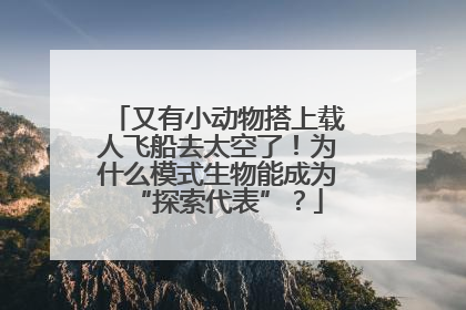 又有小动物搭上载人飞船去太空了！为什么模式生物能成为“探索代表”？