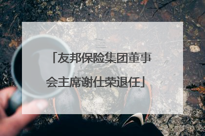 友邦保险集团董事会主席谢仕荣退任