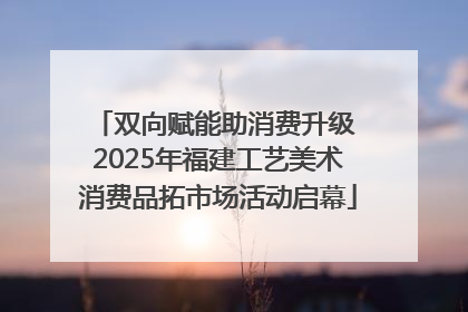 双向赋能助消费升级 2025年福建工艺美术消费品拓市场活动启幕
