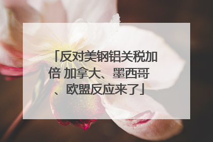 反对美钢铝关税加倍 加拿大、墨西哥、欧盟反应来了