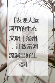 发现大运河里的生态文明｜扬州：让致富河流淌出好生态