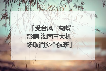 受台风“蝴蝶”影响 海南三大机场取消多个航班