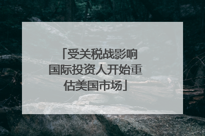 受关税战影响 国际投资人开始重估美国市场