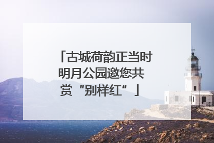 古城荷韵正当时 明月公园邀您共赏“别样红”