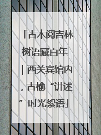 古木阅吉林 树语藏百年｜西关宾馆内，古榆“讲述”时光絮语