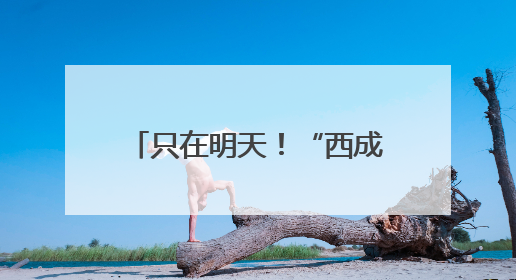 只在明天！“西成里”石库门系列套色印章限时亮相思南公馆，快来盖章吧