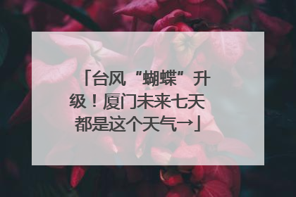台风“蝴蝶”升级！厦门未来七天都是这个天气→