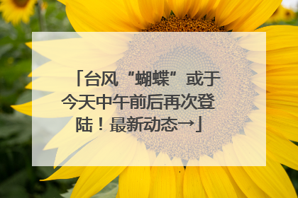 台风“蝴蝶”或于今天中午前后再次登陆！最新动态→