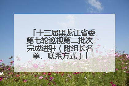 十三届黑龙江省委第七轮巡视第二批次完成进驻（附组长名单、联系方式）