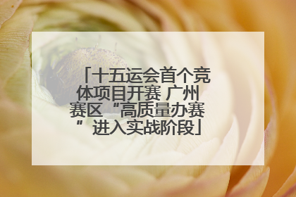 十五运会首个竞体项目开赛 广州赛区“高质量办赛”进入实战阶段
