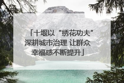 十堰以“绣花功夫”深耕城市治理 让群众幸福感不断提升