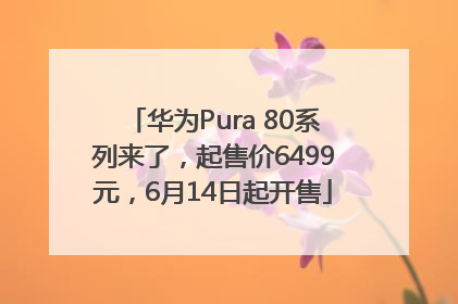 华为Pura 80系列来了，起售价6499元，6月14日起开售