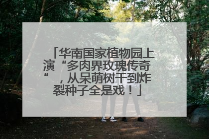 华南国家植物园上演“多肉界玫瑰传奇”，从呆萌树干到炸裂种子全是戏！