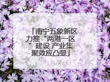 南宁五象新区力推“两港一区”建设 产业集聚效应凸显
