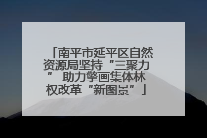 南平市延平区自然资源局坚持“三聚力” 助力擎画集体林权改革“新图景”