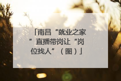 南昌“就业之家”直播带岗让“岗位找人”（图）
