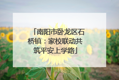 南阳市卧龙区石桥镇：家校联动共筑平安上学路