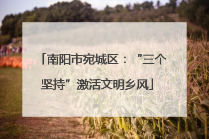 南阳市宛城区：“三个坚持”激活文明乡风