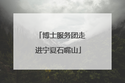 博士服务团走进宁夏石嘴山