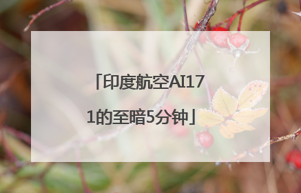 印度航空AI171的至暗5分钟
