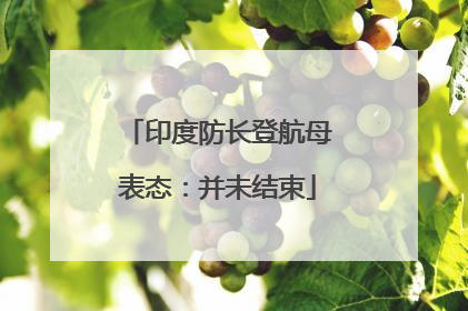 印度防长登航母表态：并未结束