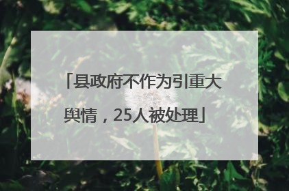 县政府不作为引重大舆情，25人被处理