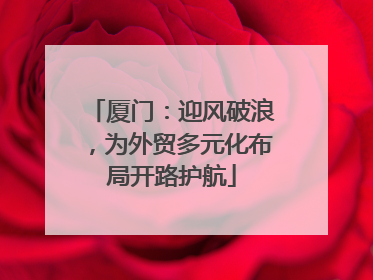 厦门：迎风破浪，为外贸多元化布局开路护航