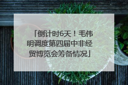 倒计时6天！毛伟明调度第四届中非经贸博览会筹备情况