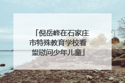倪岳峰在石家庄市特殊教育学校看望慰问少年儿童