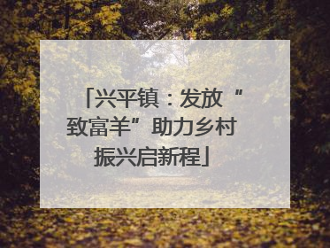 兴平镇：发放“致富羊”助力乡村振兴启新程