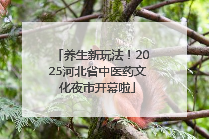 养生新玩法！2025河北省中医药文化夜市开幕啦