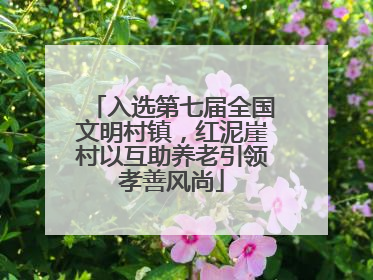 入选第七届全国文明村镇，红泥崖村以互助养老引领孝善风尚
